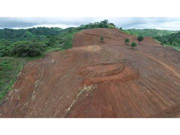 Vendo finca de 5 hectareas en  Pedasi, Carretera Playa Venao