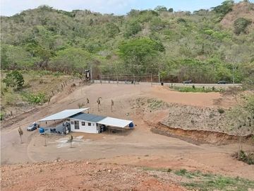 Vendo finca de 5 hectareas en  Pedasi, Carretera Playa Venao