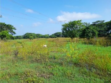 VENTA DE LOTE FINCA EN PUENTE CANOA EN EL CESAR, 449 HECTAREAS