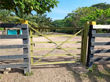 VENTA DE LOTE FINCA EN PUENTE CANOA EN EL CESAR, 449 HECTAREAS