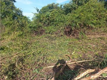 VENTA DE LOTE FINCA EN PUENTE CANOA EN EL CESAR, 449 HECTAREAS