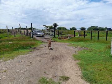 VENTA DE LOTE FINCA EN PUENTE CANOA EN EL CESAR, 449 HECTAREAS