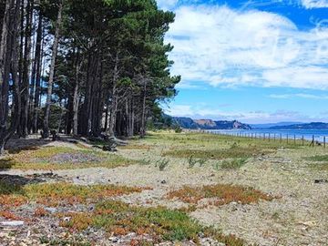 Sitio en Venta en A 5 minutos de Arauco Camino a Tubul, Secto Curaquilla