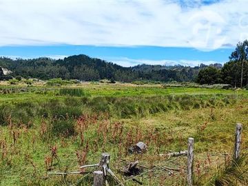 Sitio en Venta en A 5 minutos de Arauco Camino a Tubul, Secto Curaquilla