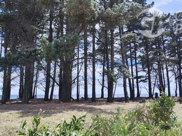 Sitio en Venta en A 5 minutos de Arauco Camino a Tubul, Secto Curaquilla