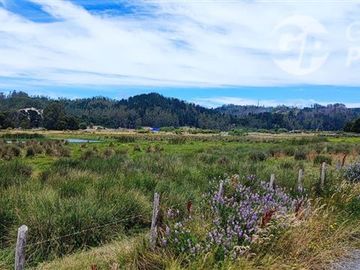 Sitio en Venta en A 5 minutos de Arauco Camino a Tubul, Secto Curaquilla