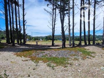 Sitio en Venta en A 5 minutos de Arauco Camino a Tubul, Secto Curaquilla