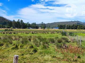Parcela en Venta en A 5 minutos de Arauco Camino a Tubul, Secto Curaquilla