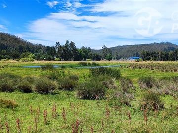 Parcela en Venta en A 5 minutos de Arauco Camino a Tubul, Secto Curaquilla
