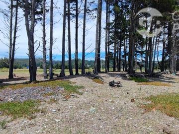 Parcela en Venta en A 5 minutos de Arauco Camino a Tubul, Secto Curaquilla