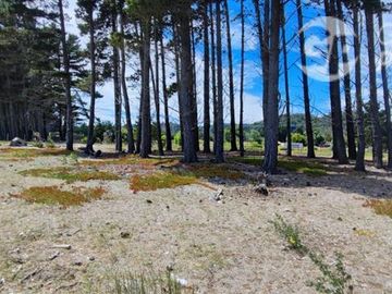 Parcela en Venta en A 5 minutos de Arauco Camino a Tubul, Secto Curaquilla
