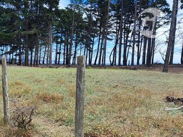 Parcela en Venta en A 5 minutos de Arauco Camino a Tubul, Secto Curaquilla