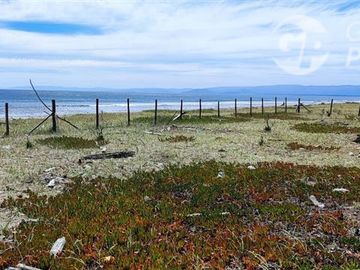Parcela en Venta en A 5 minutos de Arauco Camino a Tubul, Secto Curaquilla