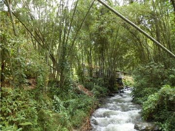 SE VENDE FINCA ECOTURSTICA EN SALÓNICA.