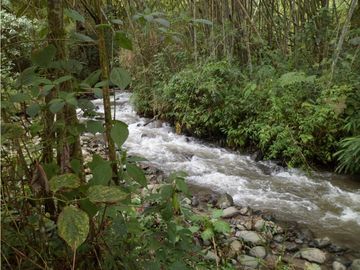 SE VENDE FINCA ECOTURSTICA EN SALÓNICA.
