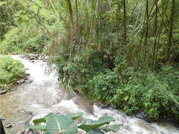SE VENDE FINCA ECOTURSTICA EN SALÓNICA.