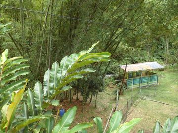 SE VENDE FINCA ECOTURSTICA EN SALÓNICA.
