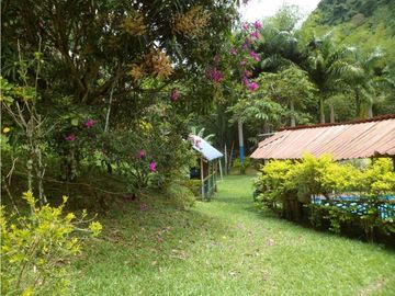SE VENDE FINCA ECOTURSTICA EN SALÓNICA.