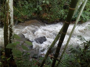 SE VENDE FINCA ECOTURSTICA EN SALÓNICA.