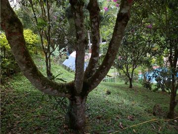 SE VENDE FINCA ECOTURSTICA EN SALÓNICA.