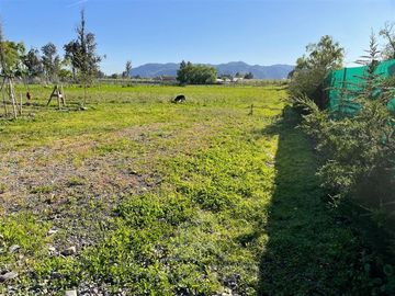 Casa en Venta en EL PLUMERO RAUCO