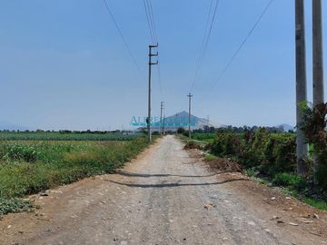 Terrenos Agricolas Venta CAL. Predio Rural Laurel, (11 de Diciembre)  - HUARAL