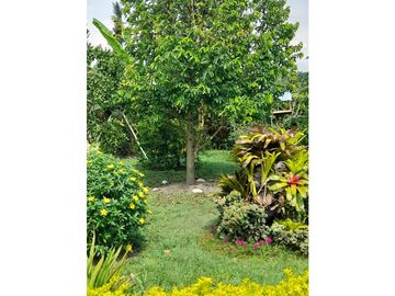 VENTA CASA CAMPESTRE EN ROZO VALLE  W7989946SL