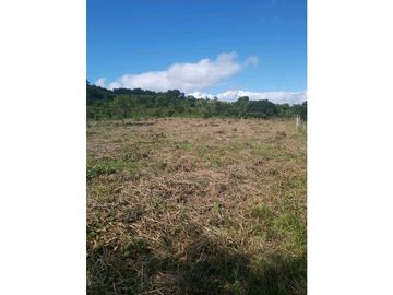 VENTA DE LOTES EN LDICE, MINIMO MIL METROS POR LOTE
