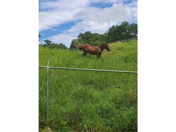 VENTA DE LOTES EN LDICE, MINIMO MIL METROS POR LOTE
