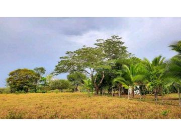 VENTA DE TERRENO EN MARIATO DE VERAGUAS, A 250 MTS DE PLAYA REINA