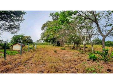 VENTA DE TERRENO EN MARIATO DE VERAGUAS, A 250 MTS DE PLAYA REINA