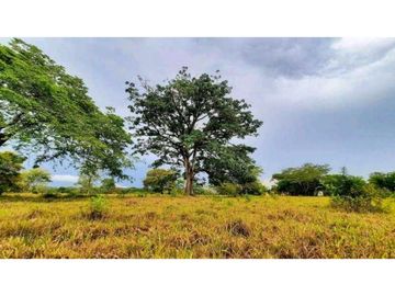 VENTA DE TERRENO EN MARIATO DE VERAGUAS, A 250 MTS DE PLAYA REINA