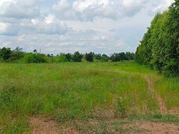 Land for sale in Chakkarat, Nakhon Ratchasima