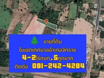 Land for sale in Chakkarat, Nakhon Ratchasima
