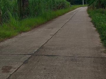 Land for sale in Chakkarat, Nakhon Ratchasima