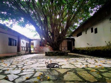 EN VENTA HOTEL, VILLAS KIN-HA PALENQUE CHIAPAS