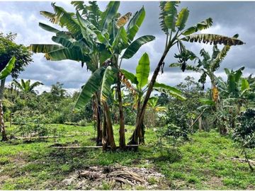 Finca en circasia Quindio con hermosas vistas