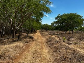 Rancho Palmillas SN  - Terreno en venta en Palmillas de Macedo, Bahia de Banderas