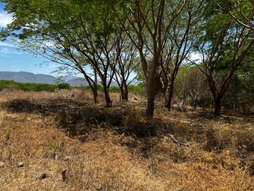 Rancho Palmillas SN  - Terreno en venta en Palmillas de Macedo, Bahia de Banderas