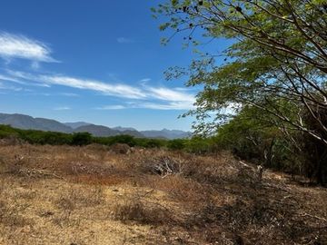 Rancho Palmillas SN  - Terreno en venta en Palmillas de Macedo, Bahia de Banderas