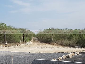 Pesquería