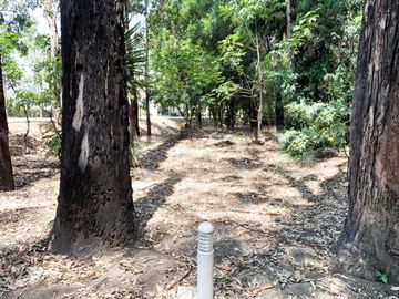 Venta de casa en Fracc. Arboreto ¡Aún puedes elegir colores y acabados!