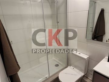 Departamento en Venta en Metro Toesca / Parque O
