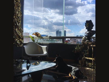 Departamento de venta en la colonia Roma Sur.
