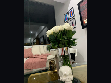 Departamento de venta en la colonia Roma Sur.