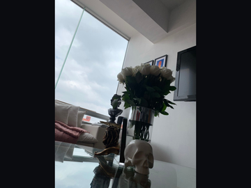 Departamento de venta en la colonia Roma Sur.