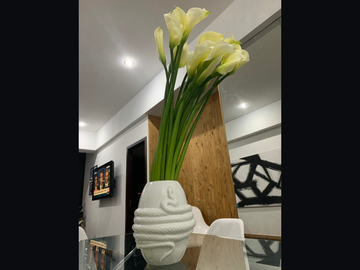 Departamento de venta en la colonia Roma Sur.