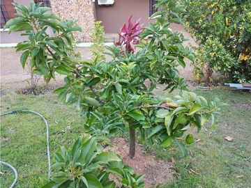 VENTA CASA EN ALTOS DEL MARA MONTAÑA