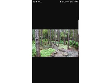 VENTA CASA EN ALTOS DEL MARA MONTAÑA
