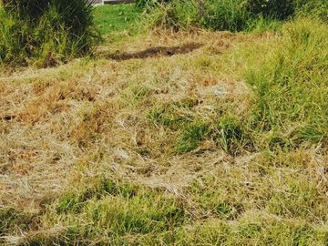VENTA DE TERRENO, CASA Y DEPARTAMENTOS EN TOLUCA
